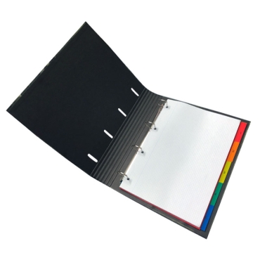 Dragon Ball Binder Evil