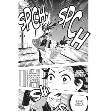 Manga: Demon Slayer Kimetsu no Yaiba  Vol. 13