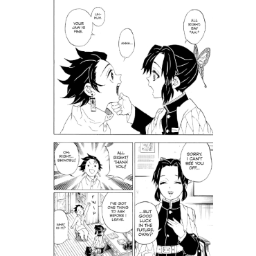 Manga: Demon Slayer Kimetsu no Yaiba  Vol. 7