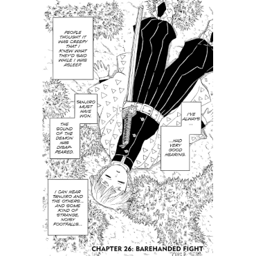 Manga: Demon Slayer Kimetsu no Yaiba  Vol. 4