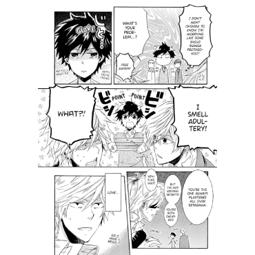 Manga: Hitorijime My Hero 2
