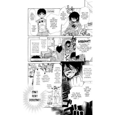 Manga: Maid-sama (2-in-1 Edition) Vol. 1