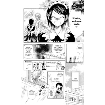 Manga: Maid-sama (2-in-1 Edition) Vol. 1