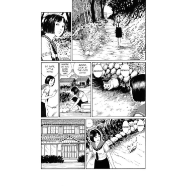 Manga: Smashed Junji Ito Story Collection