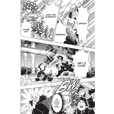 Manga: Demon Slayer Kimetsu no Yaiba  Vol. 15