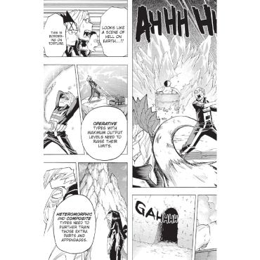 Manga: My Hero Academia Vol. 9