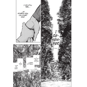 Manga: Tokyo Ghoul Re Vol. 13