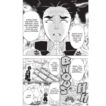 Manga: Demon Slayer Kimetsu no Yaiba  Vol. 16