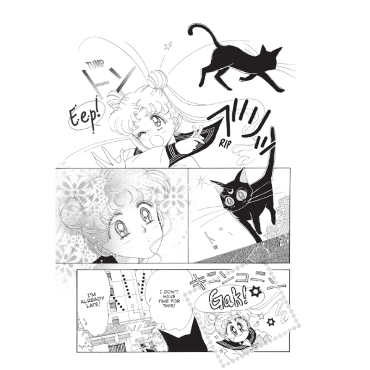 Manga: Sailor Moon Eternal Edition 1