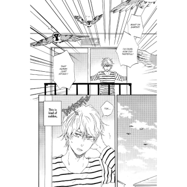 Manga: Toritan: Birds of a Feather Vol. 1