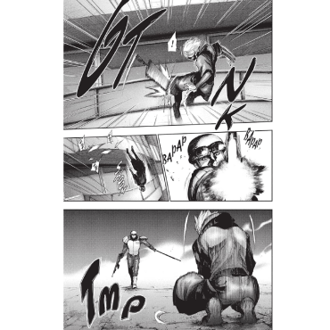 Manga: Tokyo Ghoul Vol. 14 FINAL