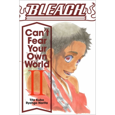 Light Novel: Bleach Can`t Fear Your Own World, Vol. 2