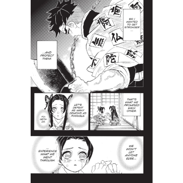 Manga: Demon Slayer Kimetsu no Yaiba  Vol. 17