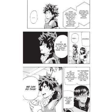 Manga: My Hero Academia Vol. 13