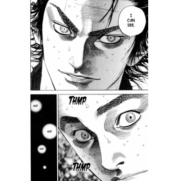 Manga: Vagabond vol. 8