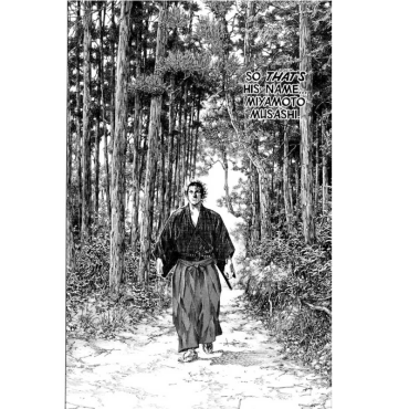 Manga: Vagabond vol. 11