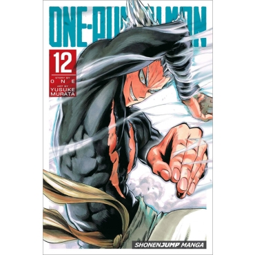 Manga: One-Punch Man Vol. 12 English
