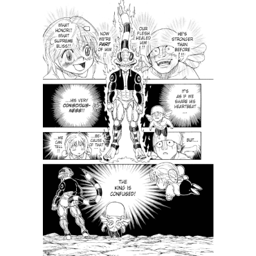 Manga: Hunter x Hunter, Vol. 29