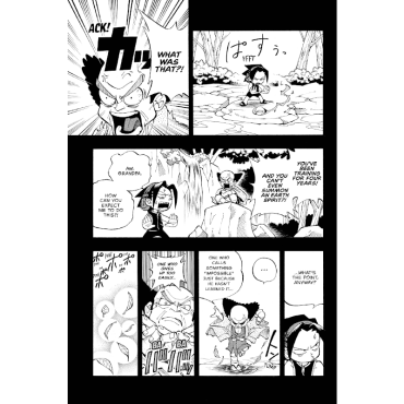 Manga: Shaman King Omnibus 1 (1-2-3)