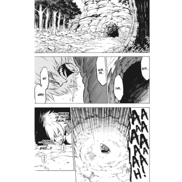 Manga: Akame Ga KILL! vol.13