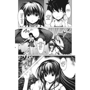 Manga: High School DxD vol. 1