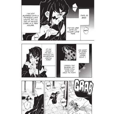 Manga: Demon Slayer Kimetsu no Yaiba  Vol. 20