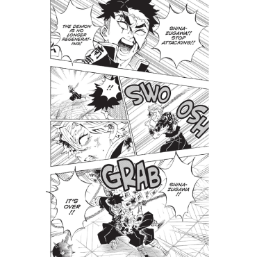 Manga: Demon Slayer Kimetsu no Yaiba  Vol. 21