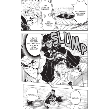 Manga: Demon Slayer Kimetsu no Yaiba  Vol. 21