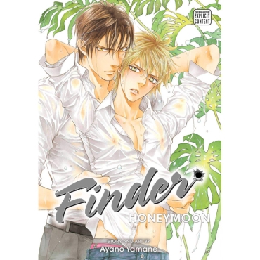 Manga: Finder Deluxe Edition Honeymoon, Vol. 10