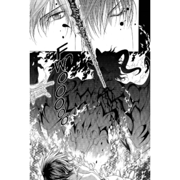 Manga: Crimson Spell vol. 2