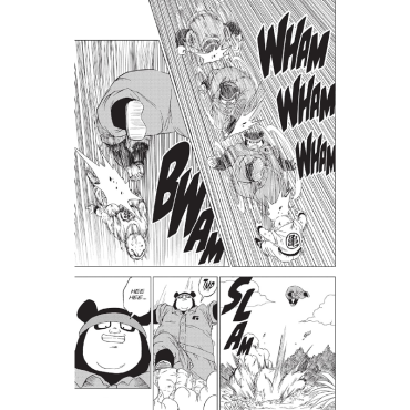 Manga: Dragon Ball Super, Vol. 13
