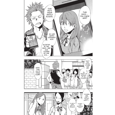 Manga: My Hero Academia Vigilantes Vol. 4