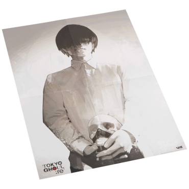 Manga: Tokyo Ghoul :Re Complete Box