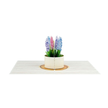 Kiriori POP 3D Greeting Card - Hyacinth