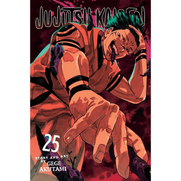 Manga: Jujutsu Kaisen, Vol. 25