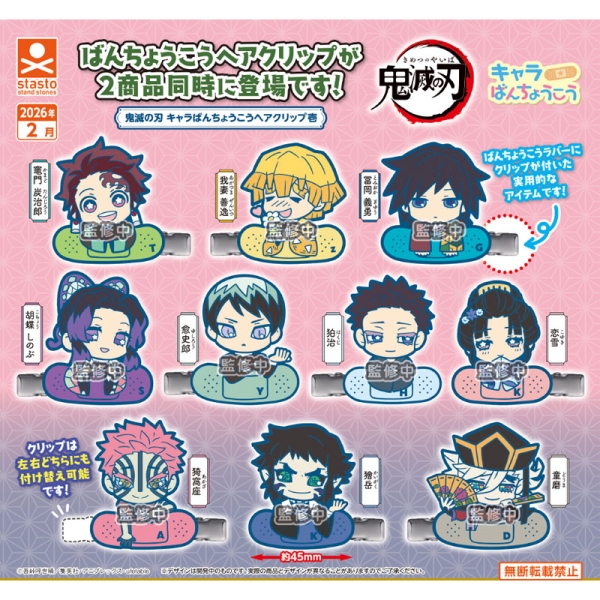 Demon Slayer: Kimetsu no Yaiba Chara Bandage Hair Clip Vol. 1