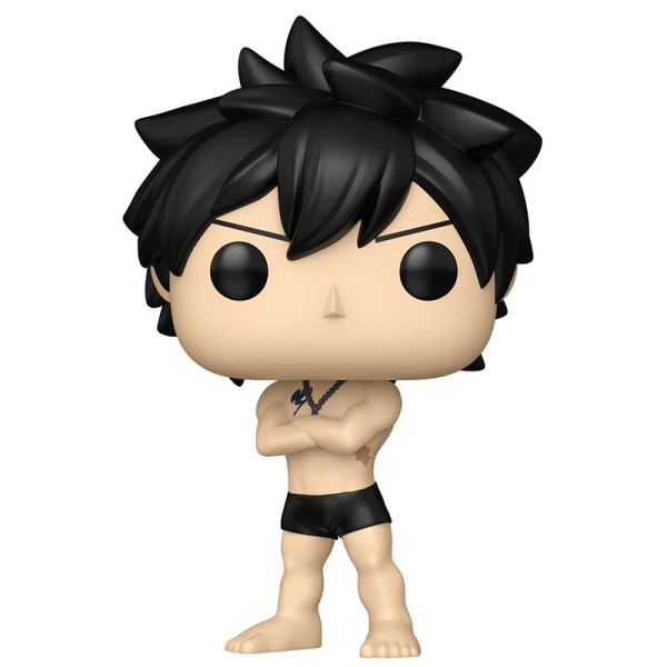 Fairy Tail 100 Years Quest Funko POP! Animation Vinyl Figure - Gray CHASE Limited Edition #2287