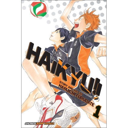 Manga: Haikyu Vol. 1