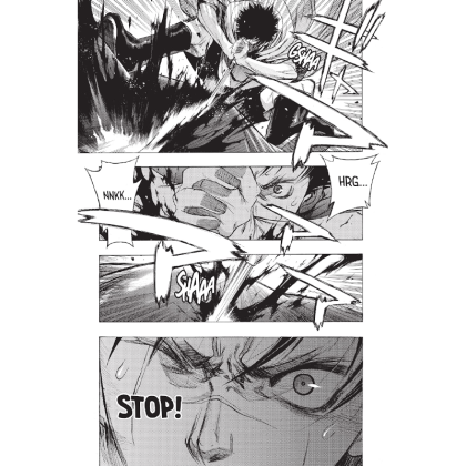Manga: Attack on Titan: Before the Fall vol.3