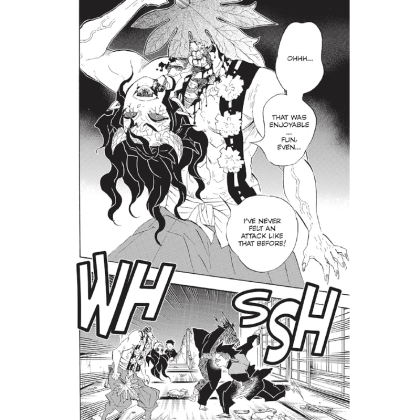 Manga: Demon Slayer Kimetsu no Yaiba  Vol. 13