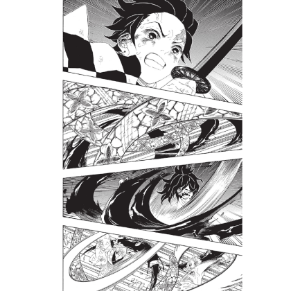 Manga: Demon Slayer Kimetsu no Yaiba  Vol. 11