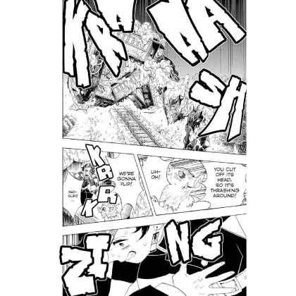 Manga: Demon Slayer Kimetsu no Yaiba  Vol. 8