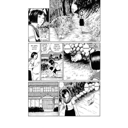 Manga: Smashed Junji Ito Story Collection