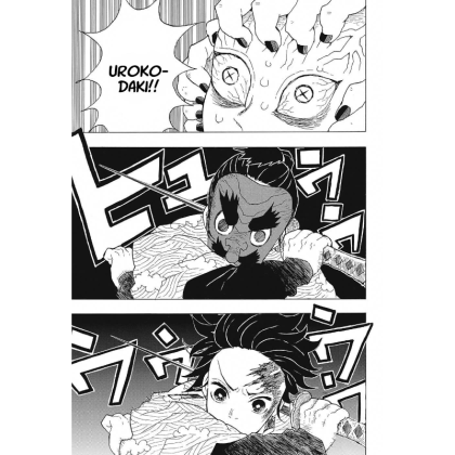 Manga: Demon Slayer Kimetsu no Yaiba  Vol. 2