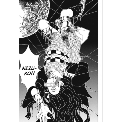 Manga: Demon Slayer Kimetsu no Yaiba  Vol. 5