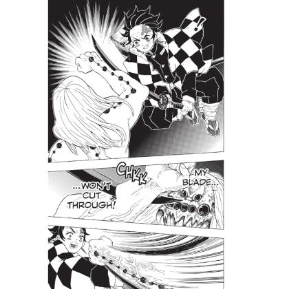 Manga: Demon Slayer Kimetsu no Yaiba  Vol. 5