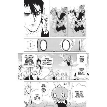 Manga: Dr. Stone Vol. 5