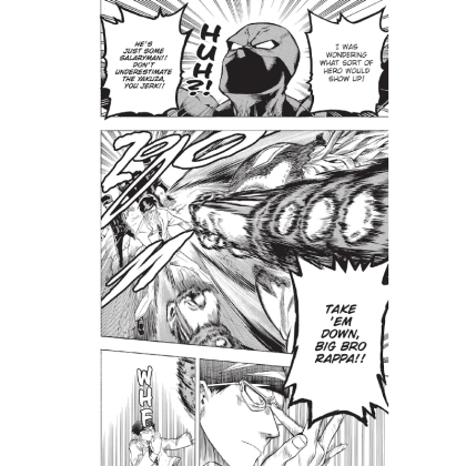 Manga: My Hero Academia Vol. 17