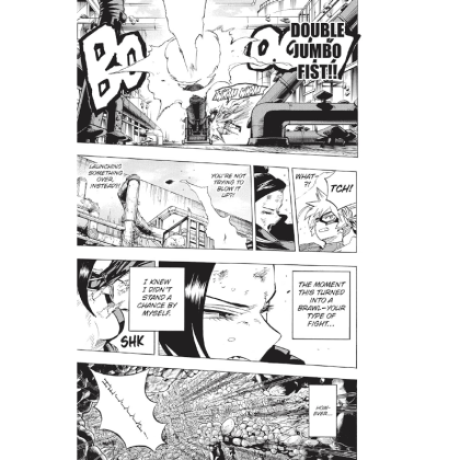 Manga: My Hero Academia Vol. 22