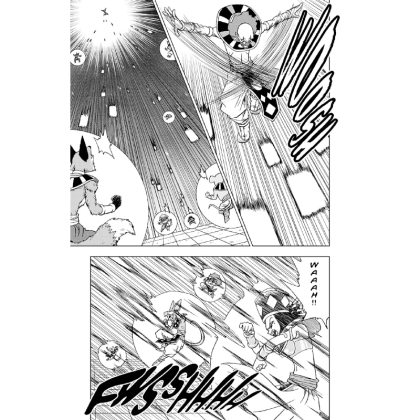 Manga: Dragon Ball Super, Vol. 6